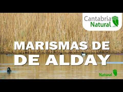 Zonas Comerciales Destacadas en Camargo