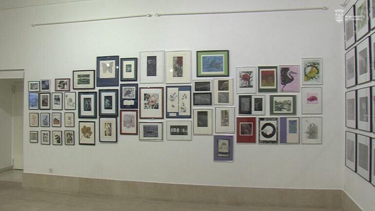 Descubre los Imperdibles de Camargo